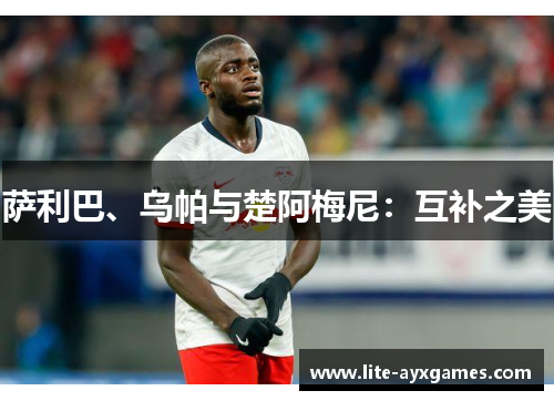 萨利巴、乌帕与楚阿梅尼：互补之美