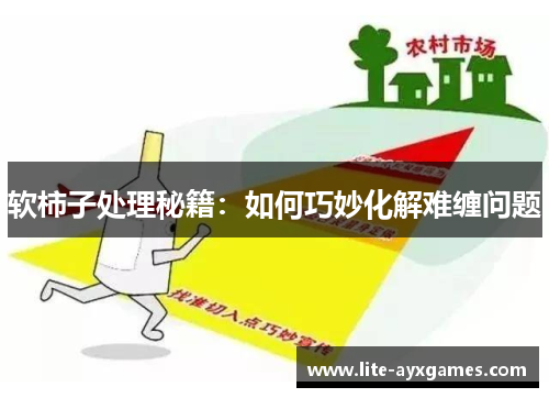 软柿子处理秘籍：如何巧妙化解难缠问题