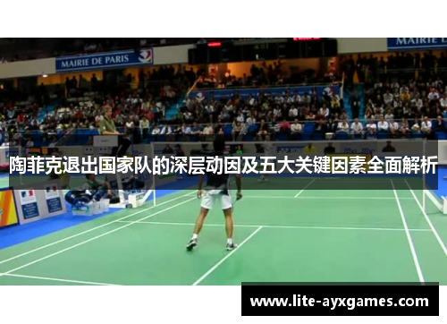 陶菲克退出国家队的深层动因及五大关键因素全面解析